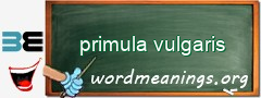 WordMeaning blackboard for primula vulgaris